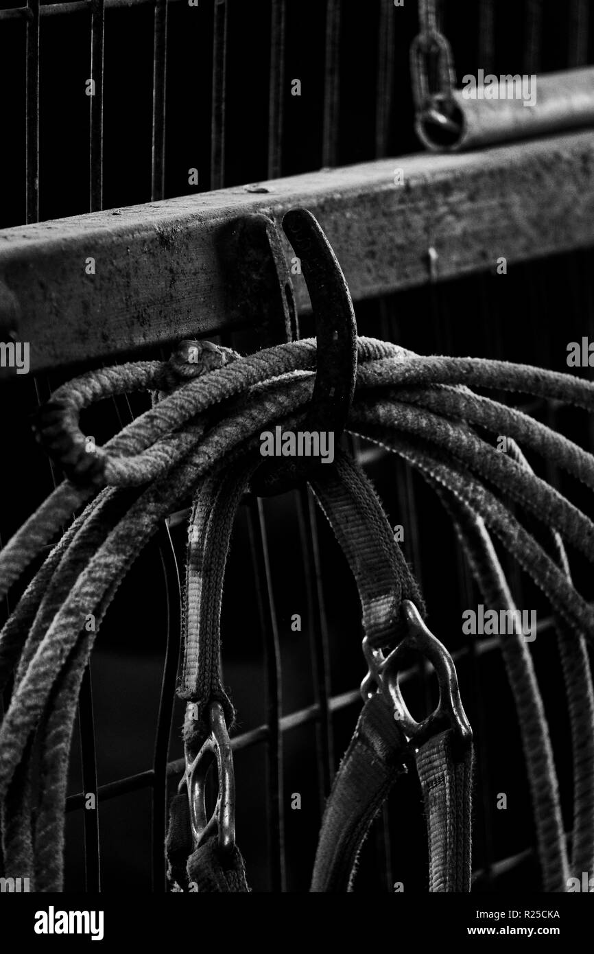 Old horseshoe used as hook to hold rope for roping with horses Stock Photo  - Alamy