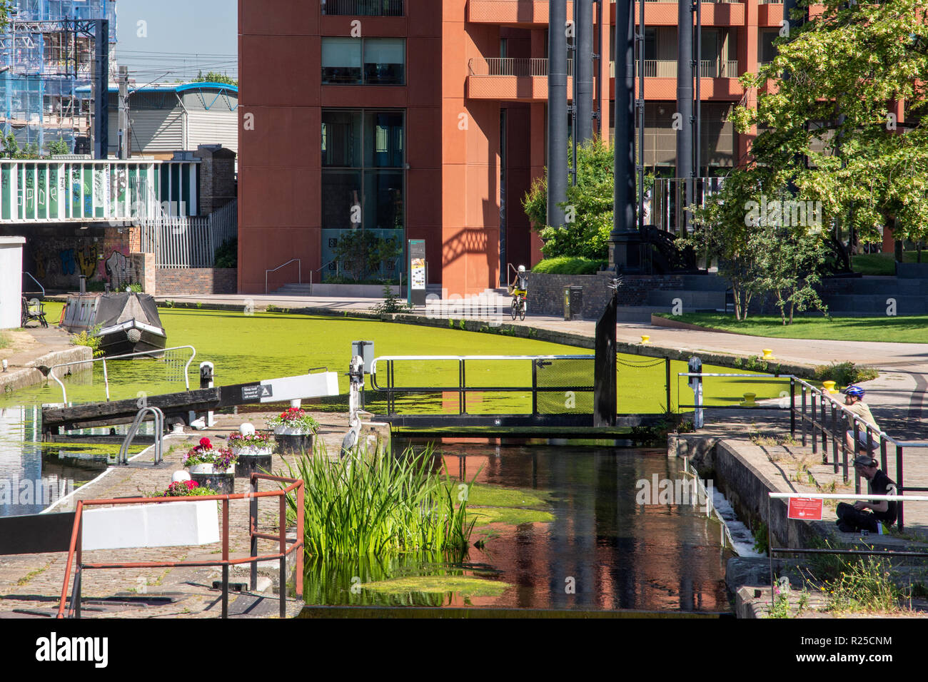 London, England, UK - June 26, 2018: A passing cyclist stops to photograph a heron at St Pancras Lock on the Regent's Canal in the King's Cross neighb Stock Photo