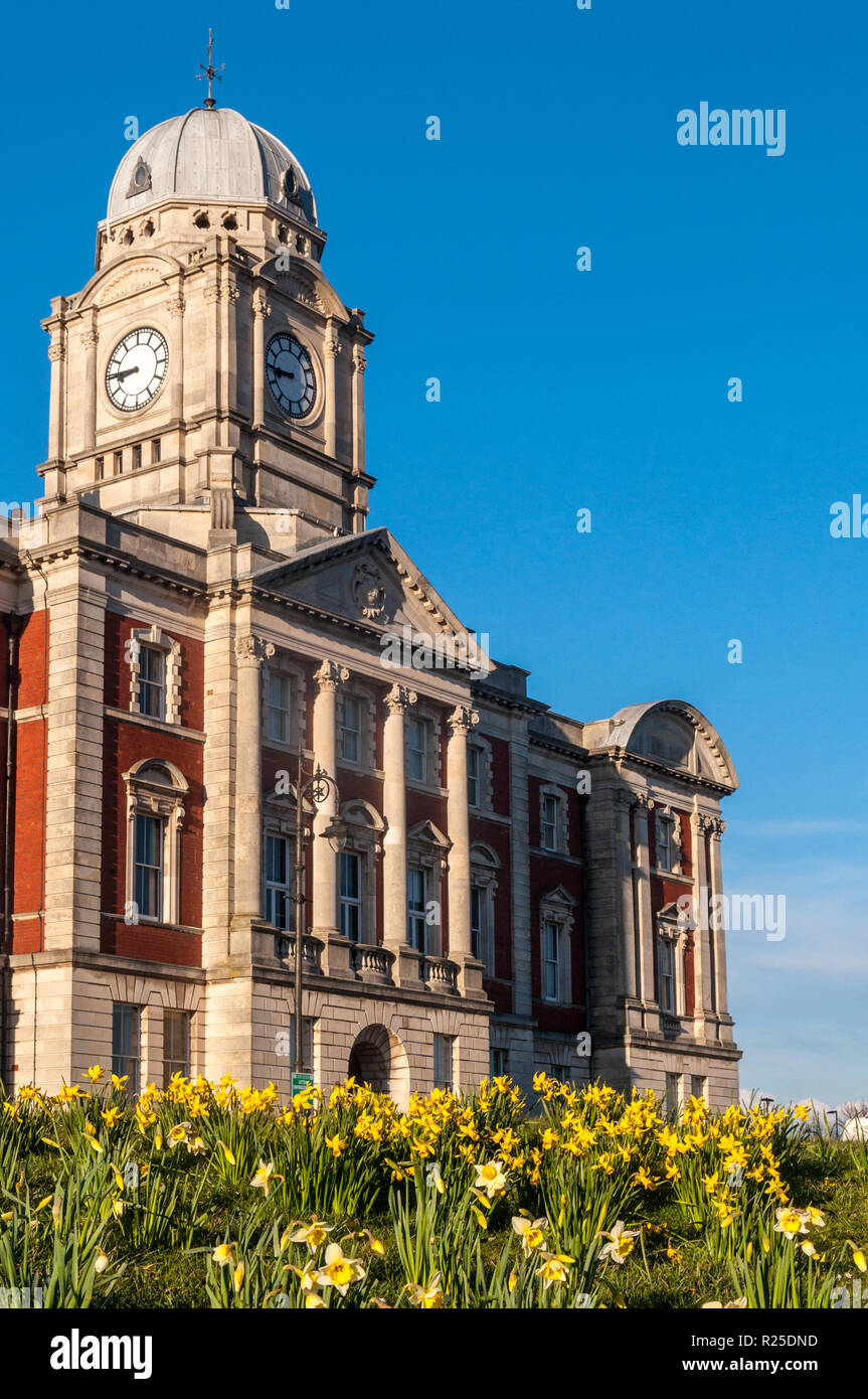 Cardiff, Wales - March 17, 2013: Daffodils bloom outside the former Barry Docks Office, now the Vale of Glamorgan Borough Council. Stock Photo