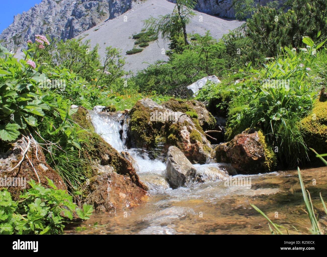 Alpine pure water creek in Karavanke mountains, close to Juliana Walking Trail, Slovenia, Central Europe Stock Photo