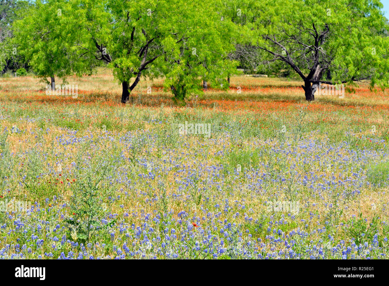 Texas hill country hires stock photography and images Alamy