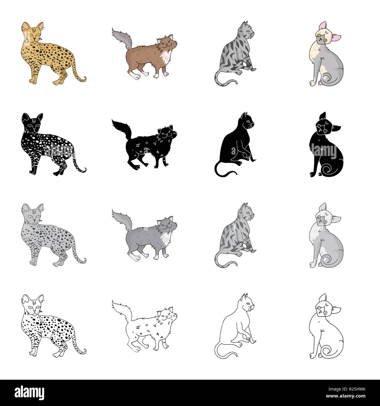 Cat breed Savannah, Norwegian Forest Cat, American Shorthair, Peterbald. Different breeds of cat set collection icons in cartoon black monochrome outl Stock Vector