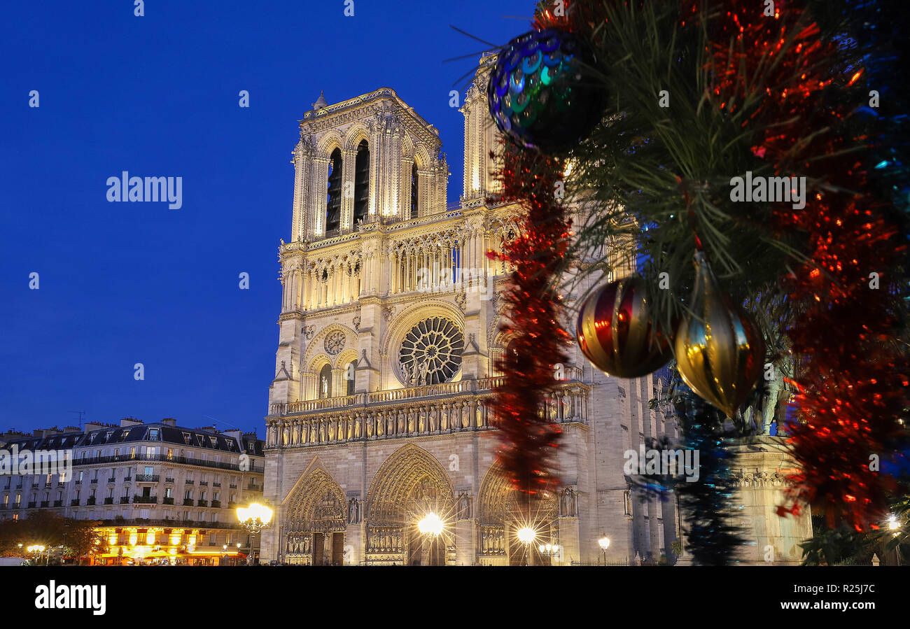 Notre dame cathedral christmas tree hires stock photography and images Alamy