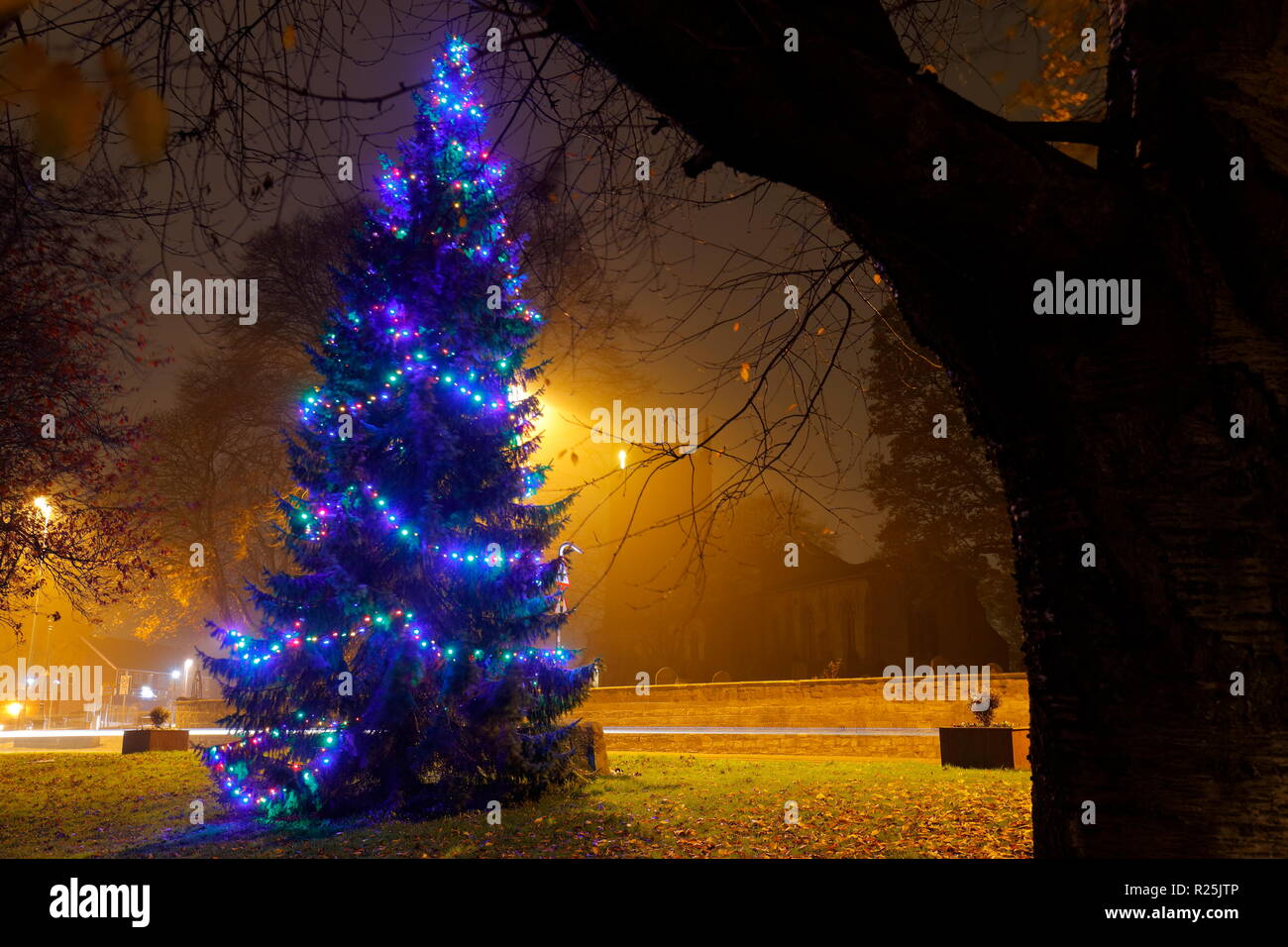 Christmas Tree in Swillington, Leeds, West Yorkshire Stock Photo Alamy