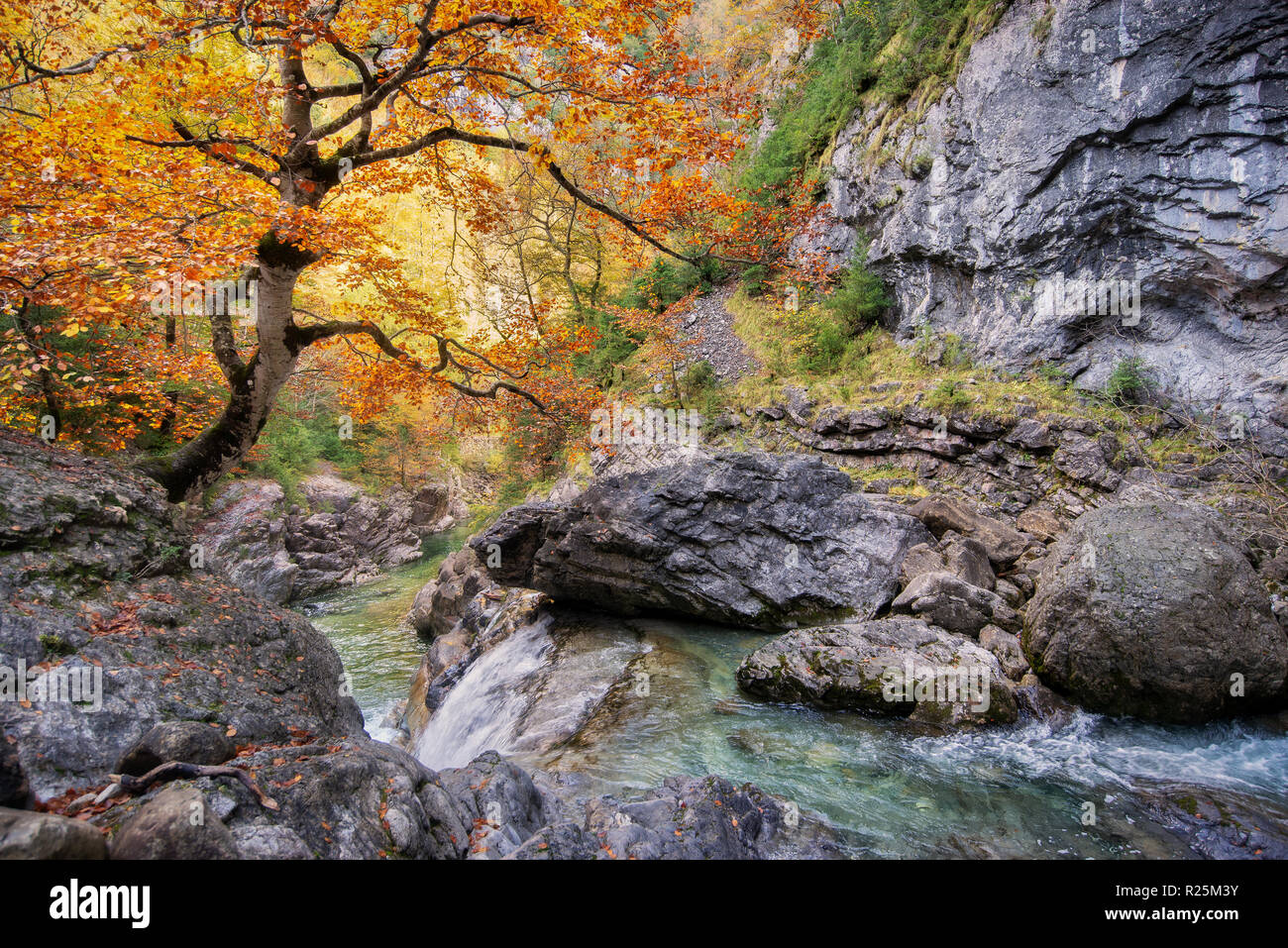 Autumn in Añisclo canyon, Huesca, Pyrenees, Spain Stock Photo