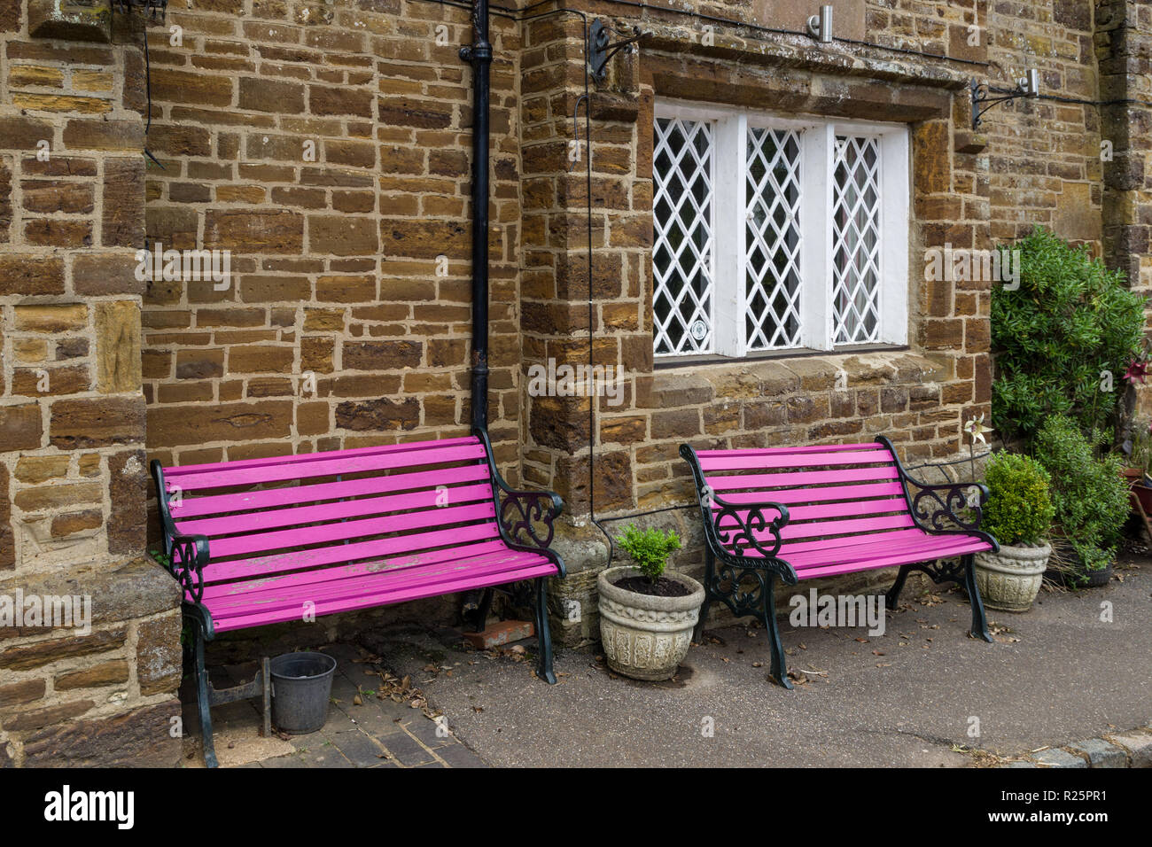 Colourful pink garden benches set against an ironstone wall, Kings Arms pub, Farthingstone, Northamptonshire, England, UK Stock Photo