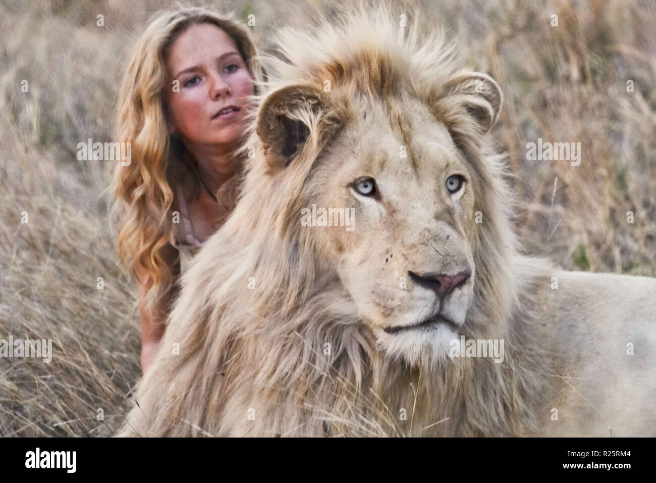 Mia and the White Lion, Mia et le Lion Blanc is a 2018 French film directed  by Gilles de Maistre. This photograph is for editorial use only and is the  copyright of