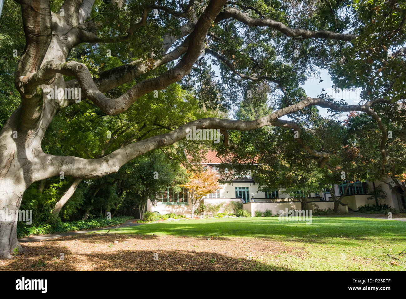 College park and old oak hires stock photography and images Alamy