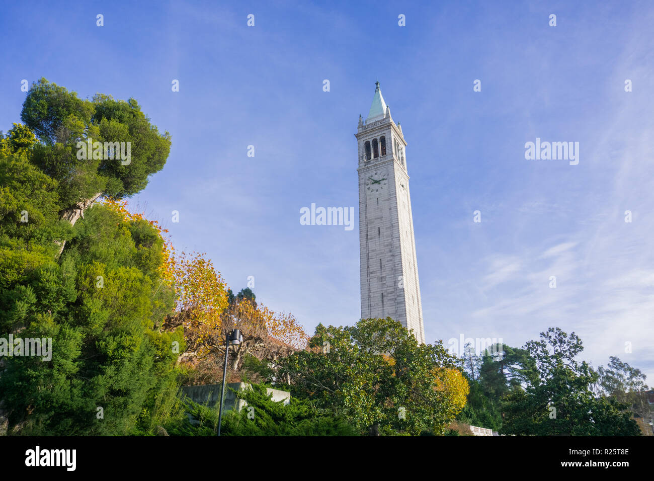 Sather tower (the Campanile) on a blue sky background, UC Berkeley, California, San Francisco bay Stock Photo