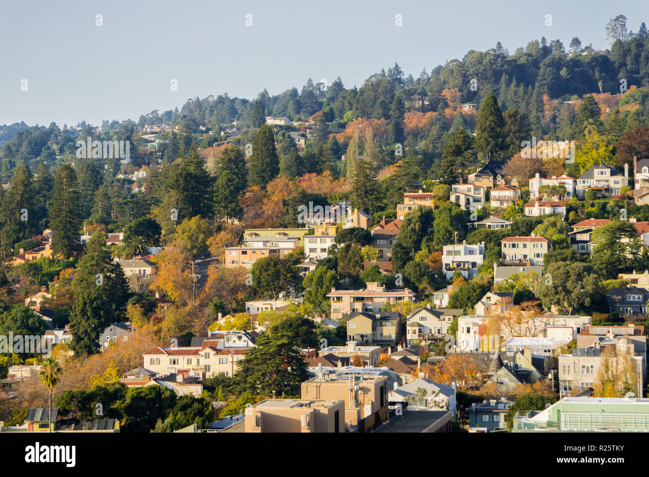Aerial view of residential neighborhood built on a hill on a sunny autumn day, Berkeley, San Francisco bay, California; Stock Photo