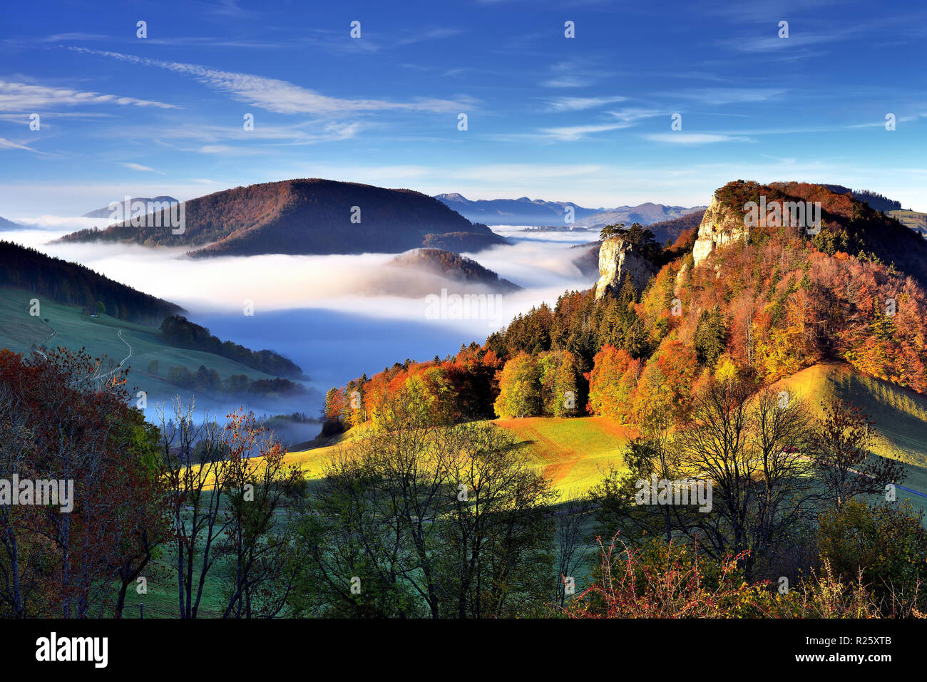 Mountain Ankenballen with sea of fog, Langenbruck, Baselbieter Jura, Baselland, Switzerland Stock Photo