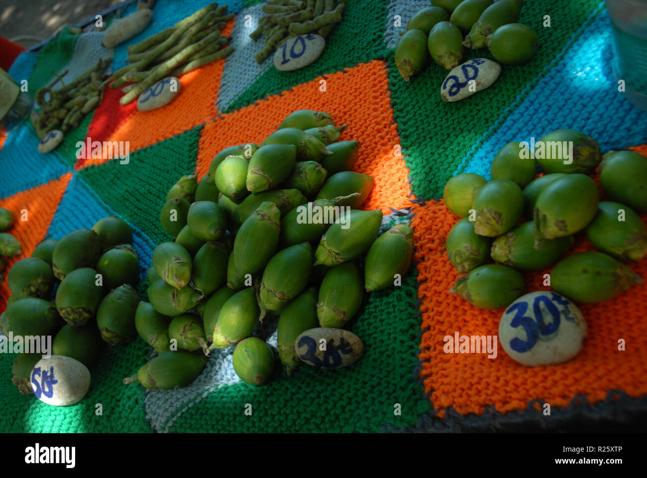 Betel Nut Powder Uses edu.svet.gob.gt