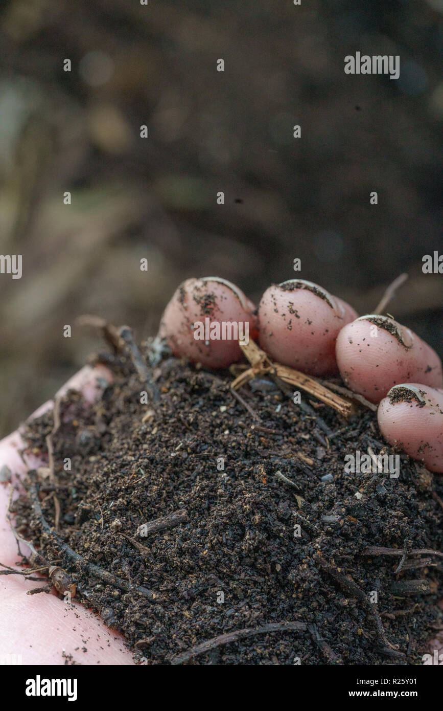 Finished compost soil hi-res stock photography and images - Alamy