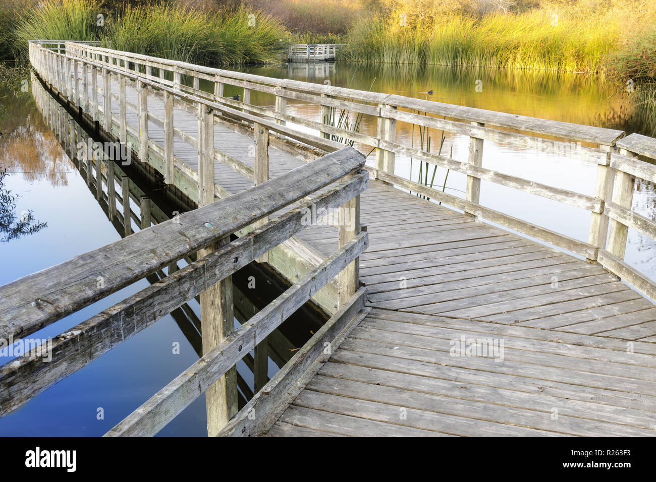 Neary Floating Walkways at Neary Lagoon Stock Photo - Alamy