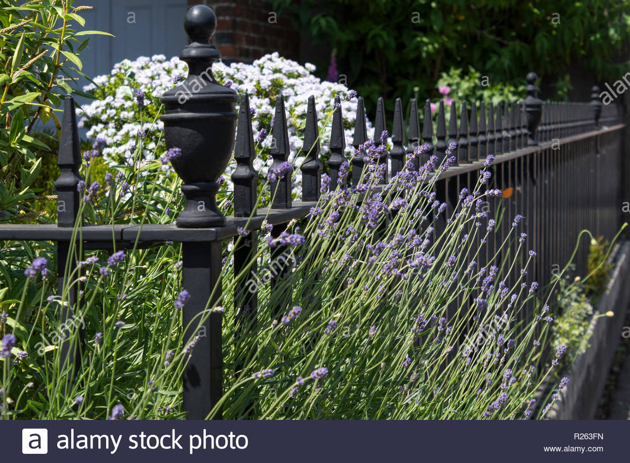 Boundary Railings High Resolution Stock Photography and Images - Alamy