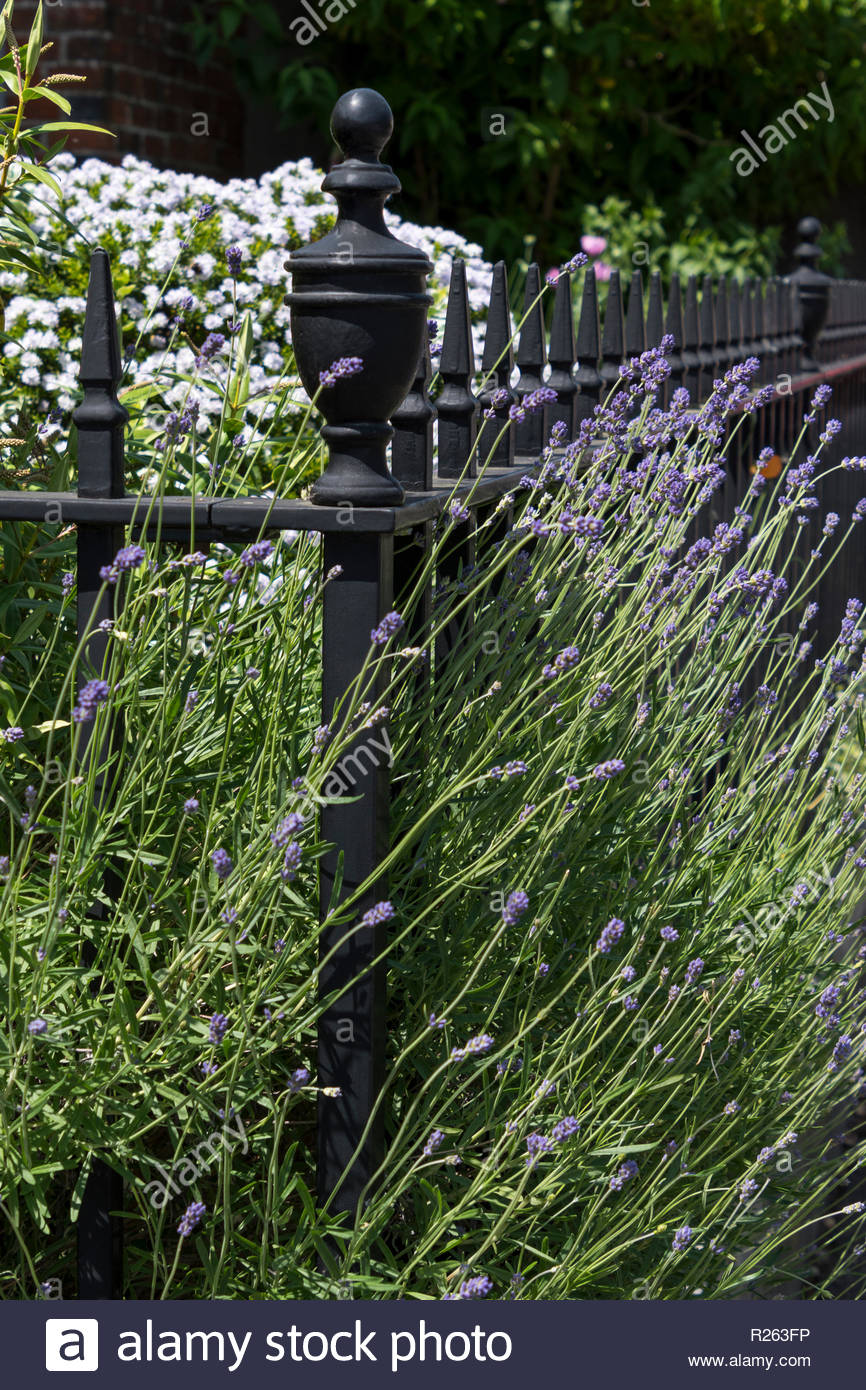 Boundary Railings High Resolution Stock Photography and Images - Alamy