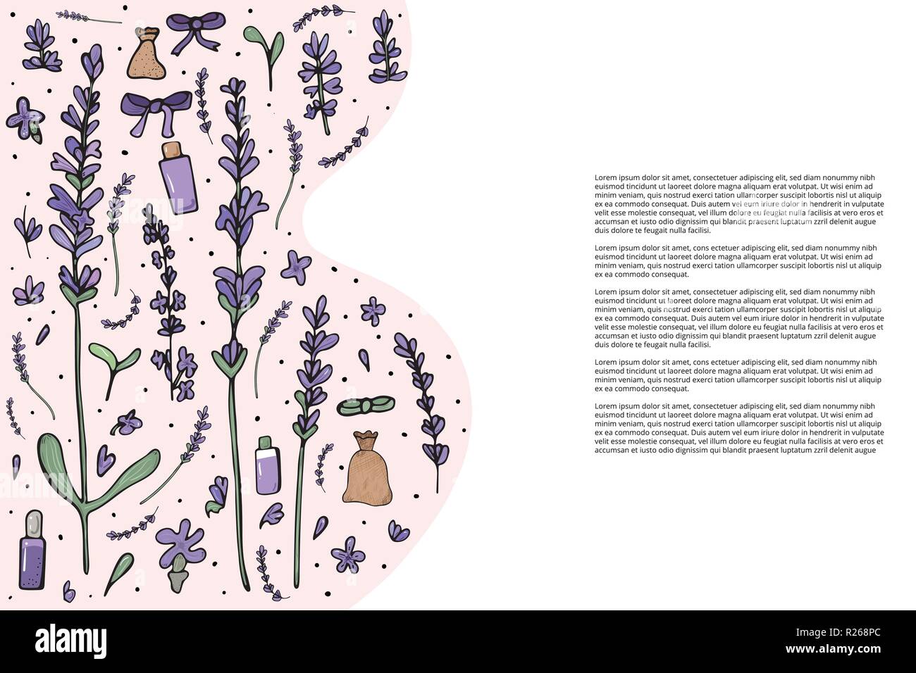 Template Of Banner Of Lavender Leaves And Flowers In Doodle Style