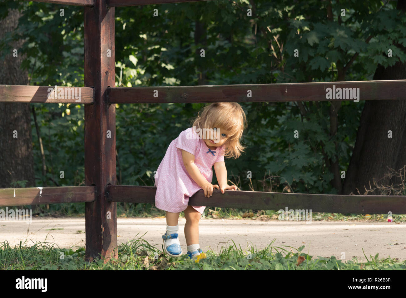 Little blond girl in pink dress climbing over the wooden fence in summer day on the forest background. Vocation in the village. Baby one year old walk Stock Photo
