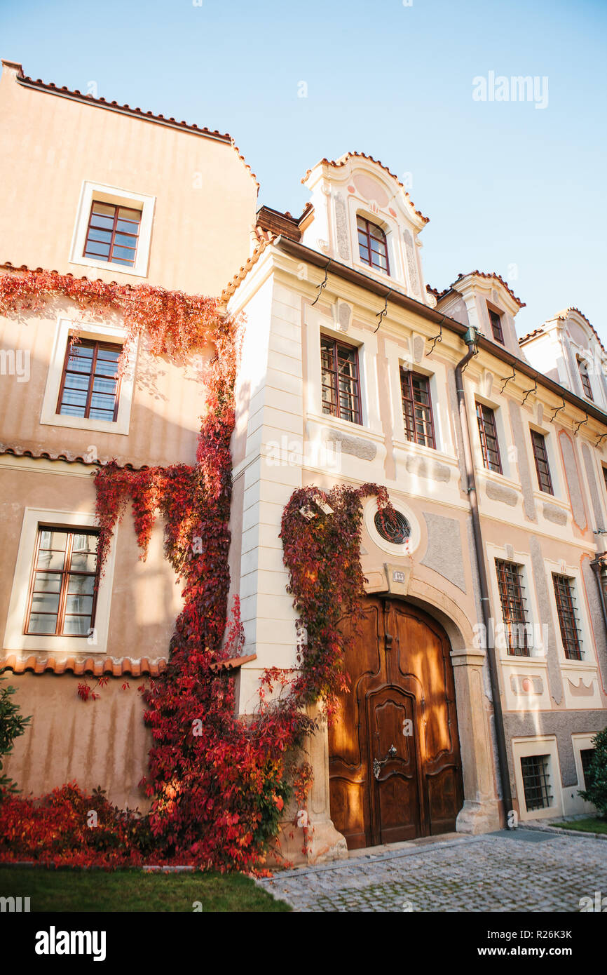 Exterior of a traditional old building with a door and many windows with a plant or ivy in autumn in Prague in the Czech Republic. Stock Photo