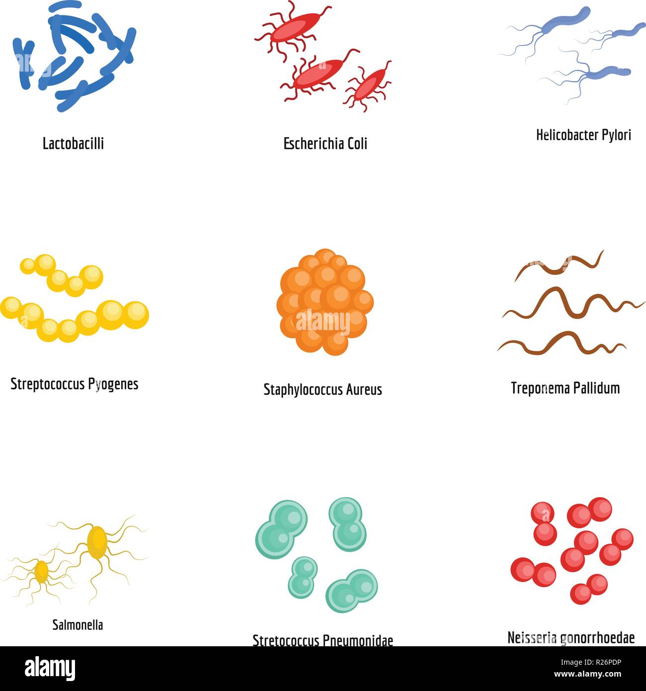 Microorganism icons set. flat set of 9 microorganism vector icons for ...