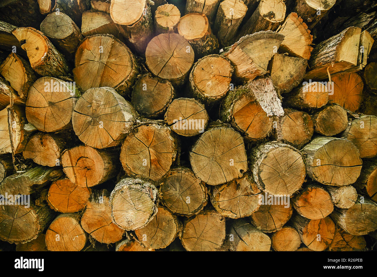 Wood logs background. Pile of cut tree wood as abstract natural ...