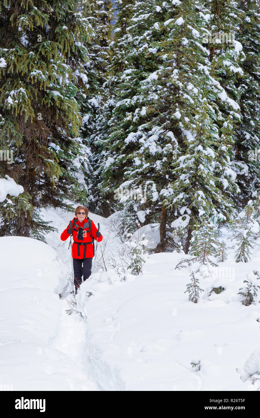 42,755.09684 woman person cold winter hiking Upper Moose Lake Trail, Jasper National Park, day packing hiker in snowy winter conifer forest landscape Stock Photo