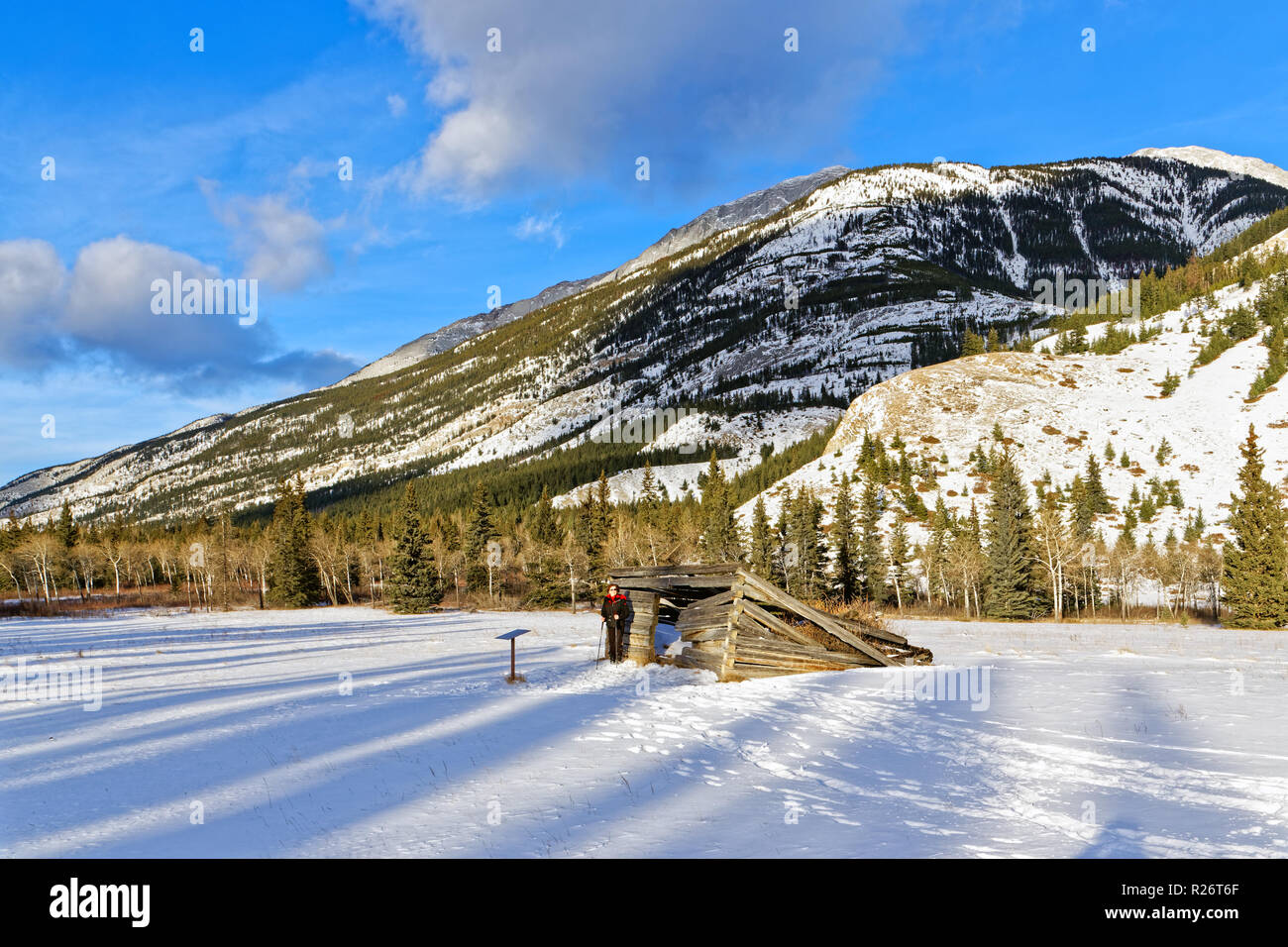 42,750.09106 AZ Woman person hiking snow flat at Moberly Log Cabin built in 1909, Jasper Natl Park, Mountain background Stock Photo