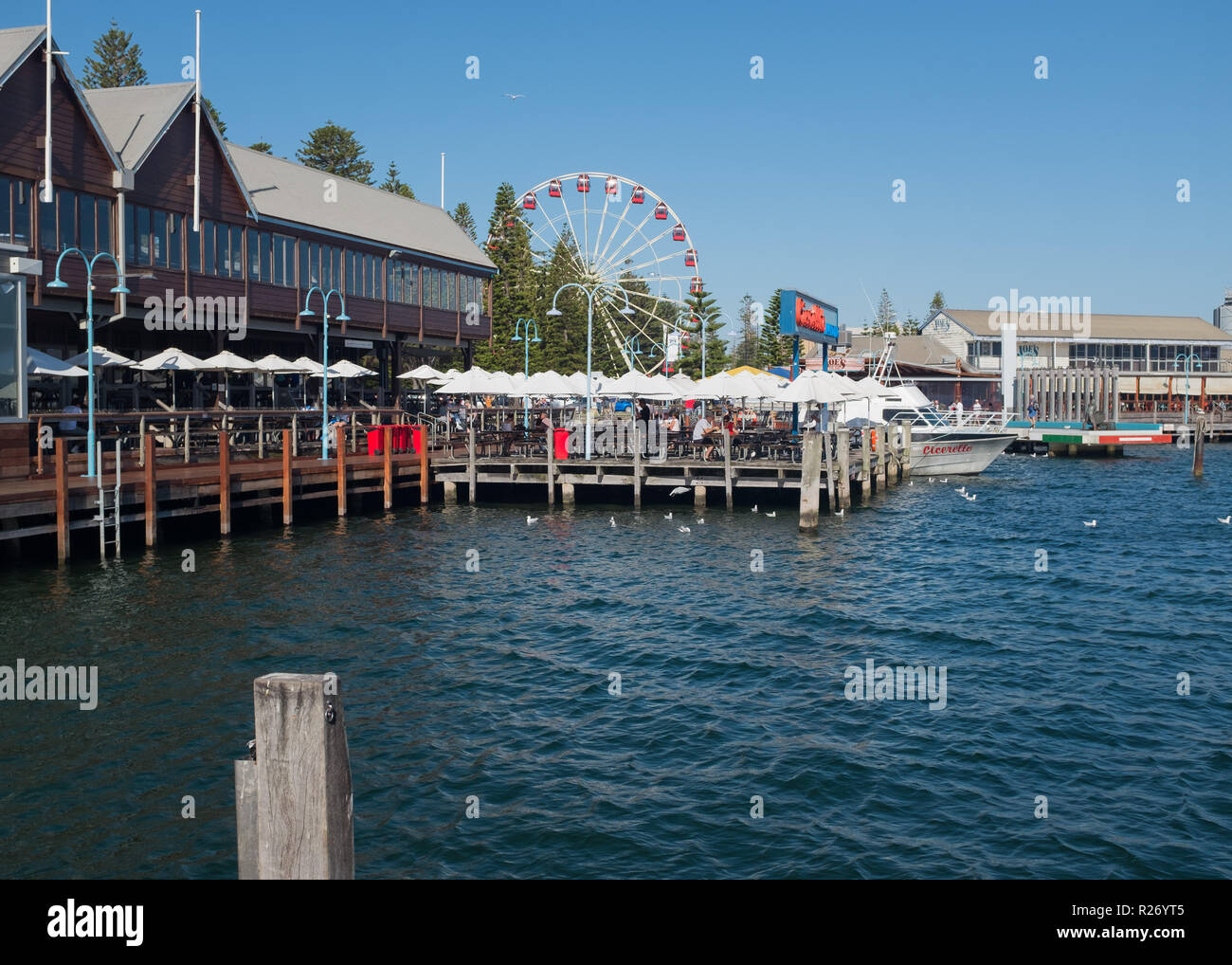 View of Fishing Boat Harbour with Skyview Observation Wheel in background, Fremantle, Western Australia, Australia Stock Photo