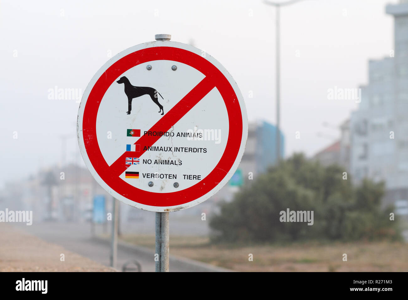 No animals allowed sign Stock Photo