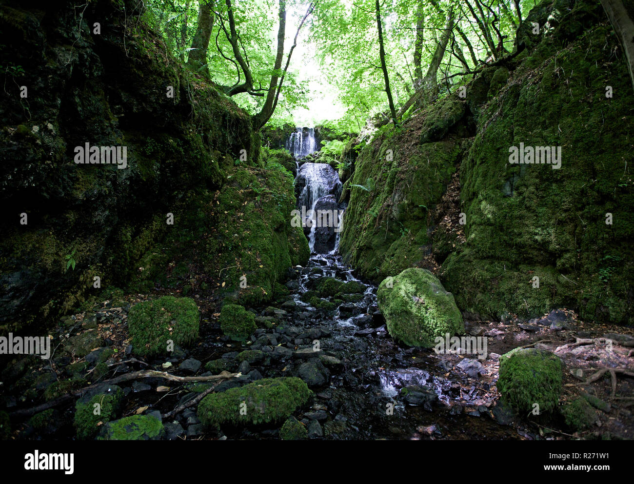 Leafy waterfall hi-res stock photography and images - Alamy
