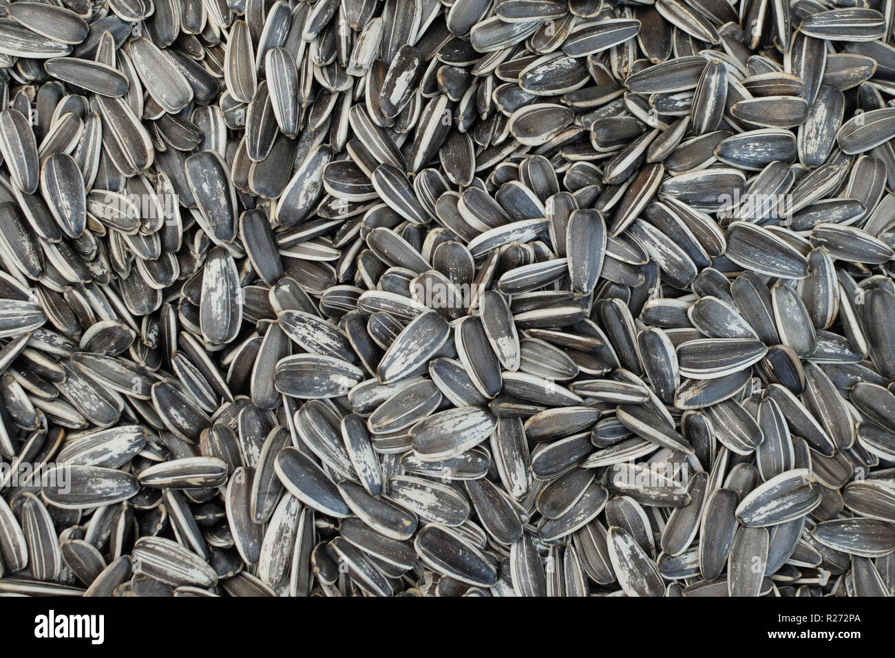 Sunflower seeds in hulls salty snack food background Stock Photo Alamy