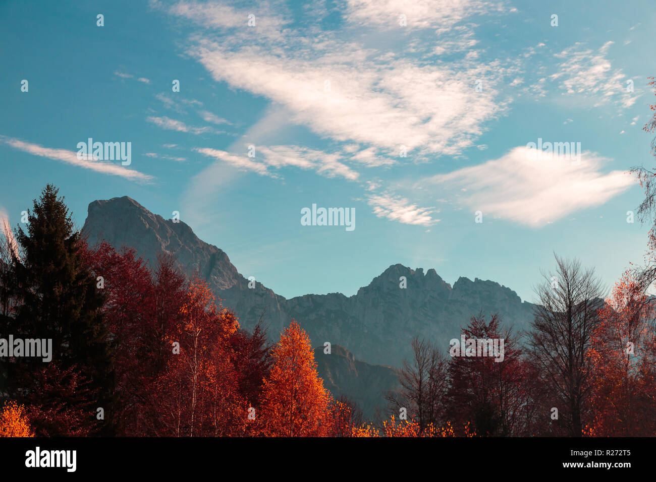 Sunny day in the carnic alps during a colorful autumn Stock Photo - Alamy