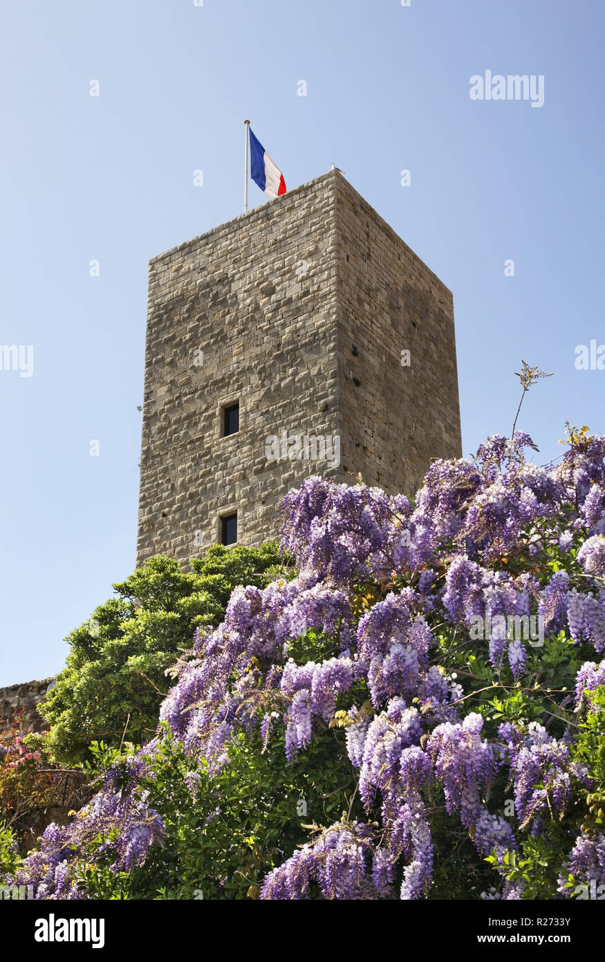 Place de la Castre in Cannes. France Stock Photo Alamy Place de la Castre in Cannes. France Stock Photo Alamy