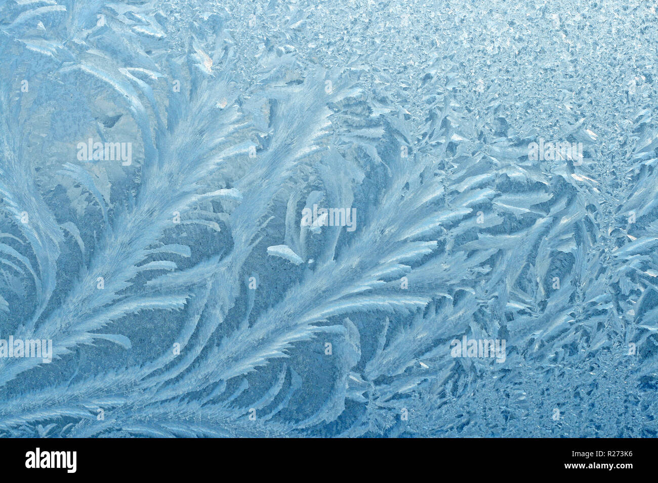 frosty natural pattern on winter windowpane Stock Photo - Alamy