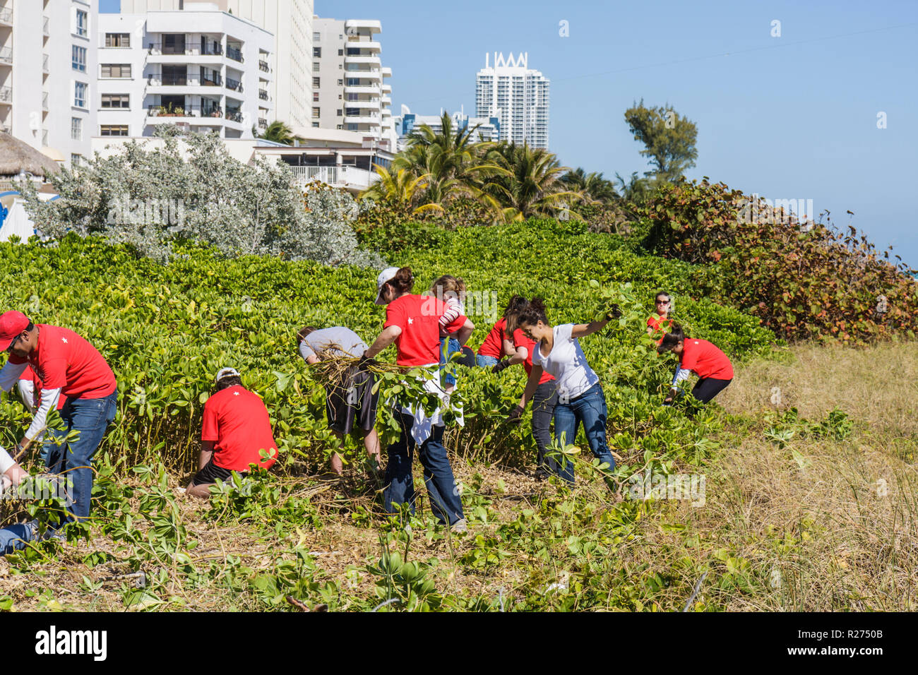 Miami Beach Florida,Surfrider Foundation,exotic,invasive species