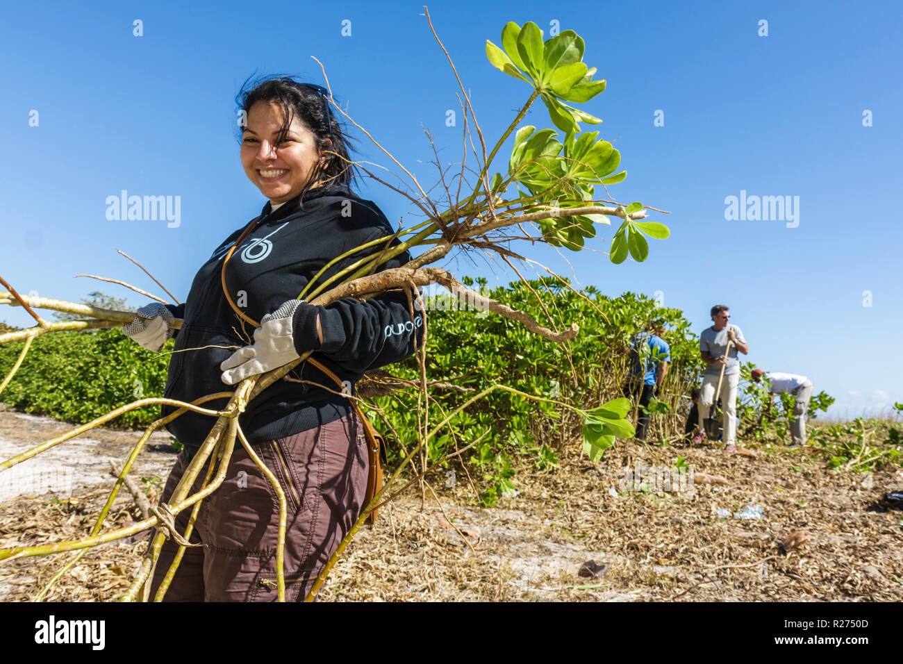 Miami Beach Florida,Surfrider Foundation,exotic,invasive species