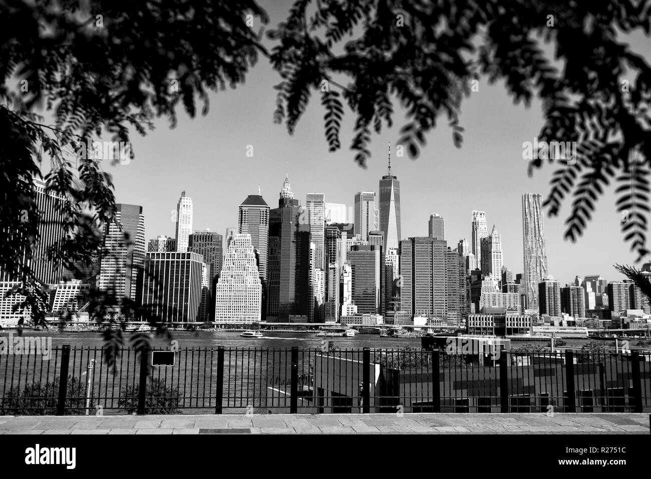 View on financial district in lower Manhattan from Brooklyn Bridge Park, New York. Stock Photo
