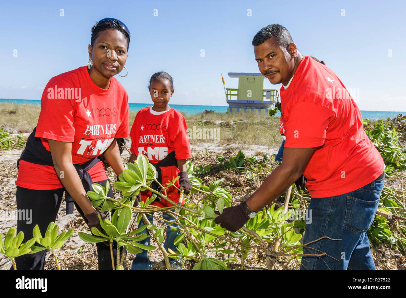 Miami Beach Florida,Surfrider Foundation,exotic,invasive species,plant