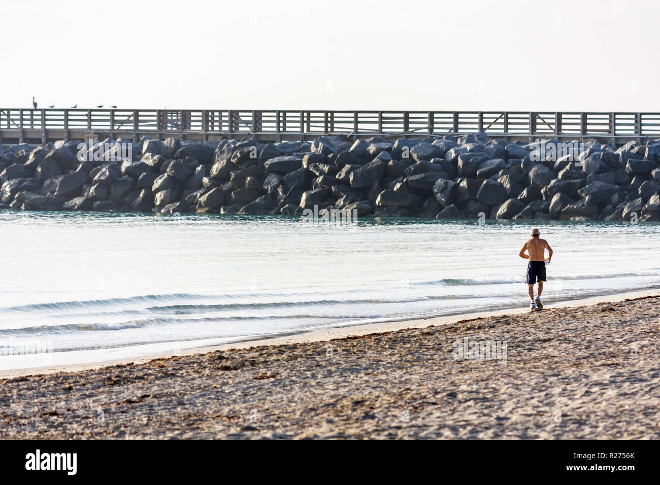 Miami Beach Florida,South Pointe SoFi,Point,Atlantic Ocean water public