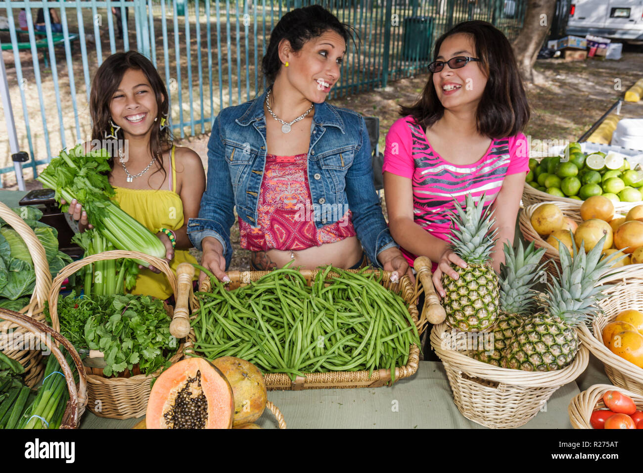 Miami Florida,Legion Park,Upper Eastside Green Market,farmer's,farmers market,farmer's,fruit,vendor vendors,stall stalls booth market buying selling,b Stock Photo
