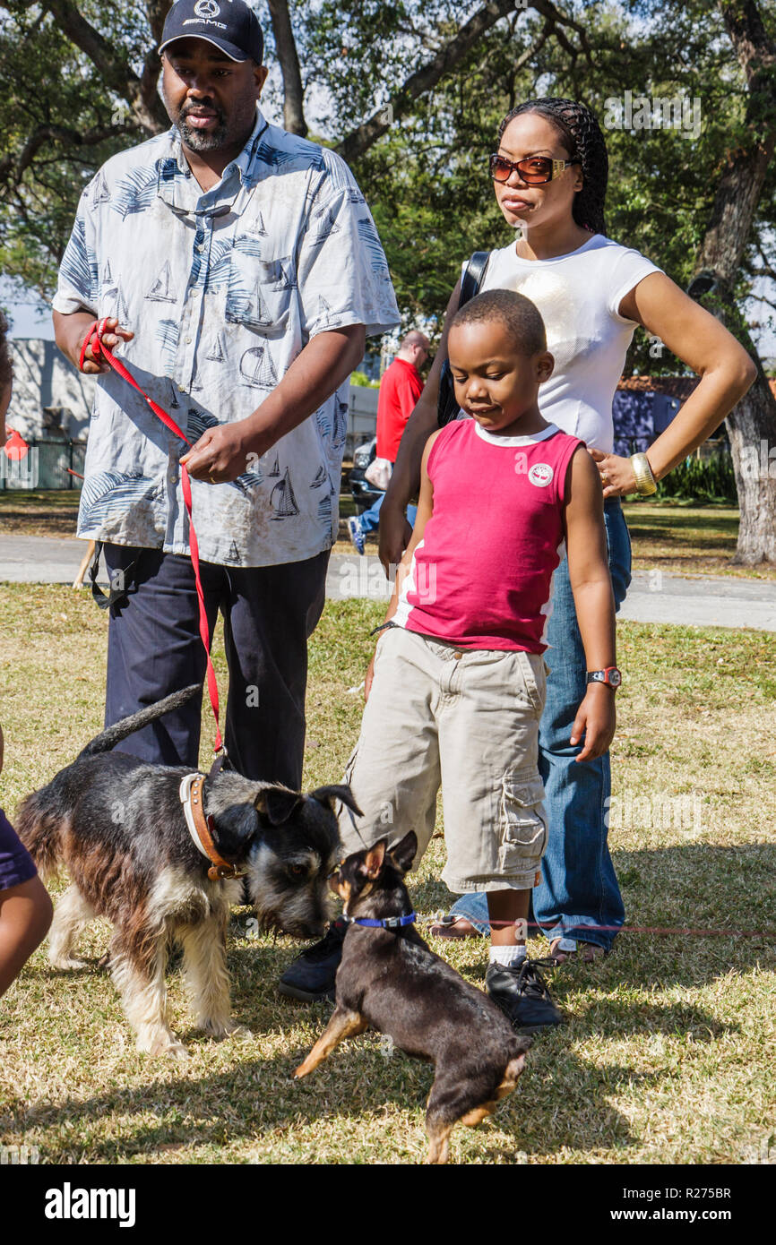 Miami Florida,Legion Park,Dogs On The Catwalk,dog dogs,Black Blacks African Africans ethnic minority,adult adults man men male,woman women female lady Stock Photo