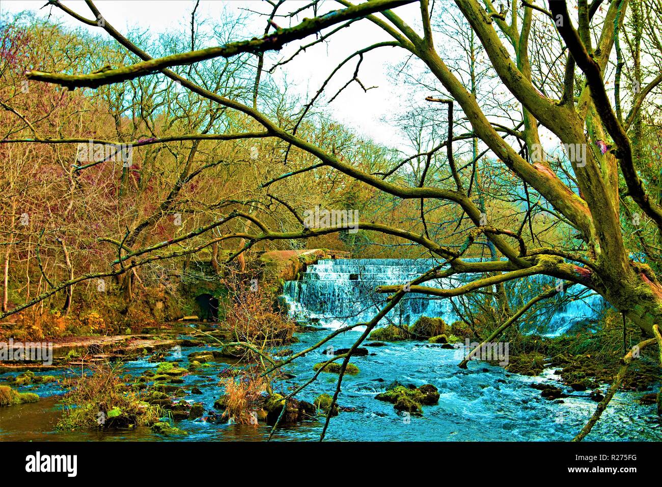 Capturing features of a popular White Peaks walk, along the River Wye between Monsal Dale and Ashton on the Water. Stock Photo