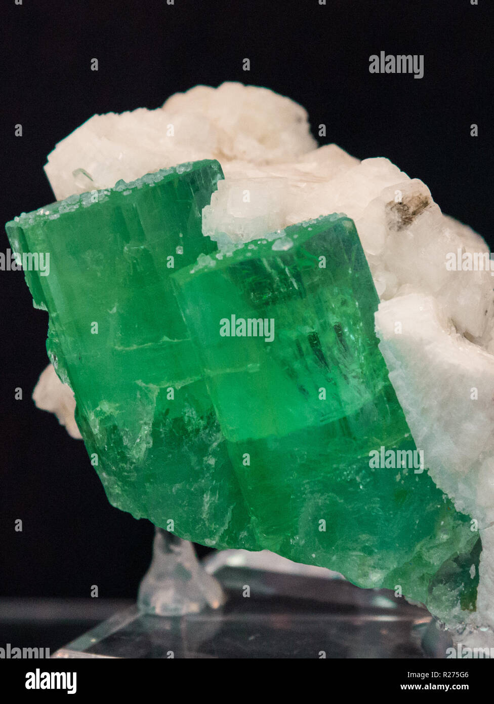 Green crystals of mineral emerald, a variety of beryl, in white matrix. Stock Photo
