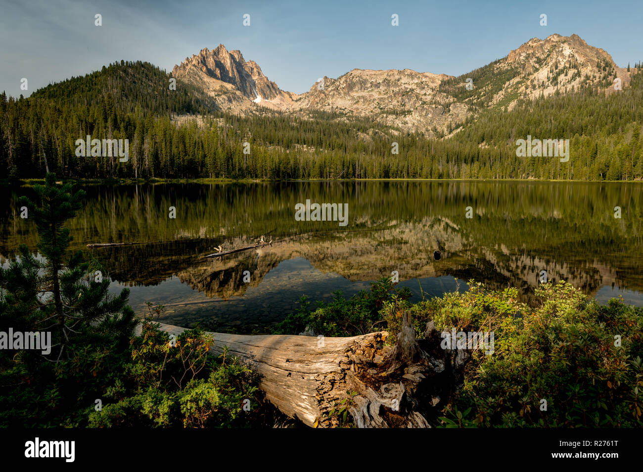 Mountain lake with forest reflection and distant peaks Stock Photo