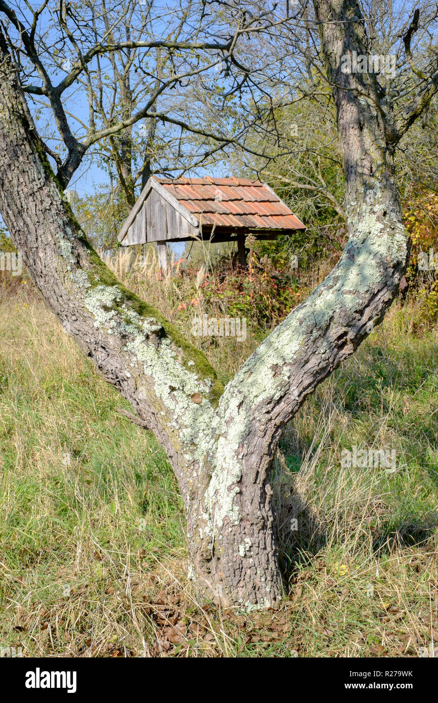 old overgrown abandoned water well in a field rural countryside zala county hungary Stock Photo