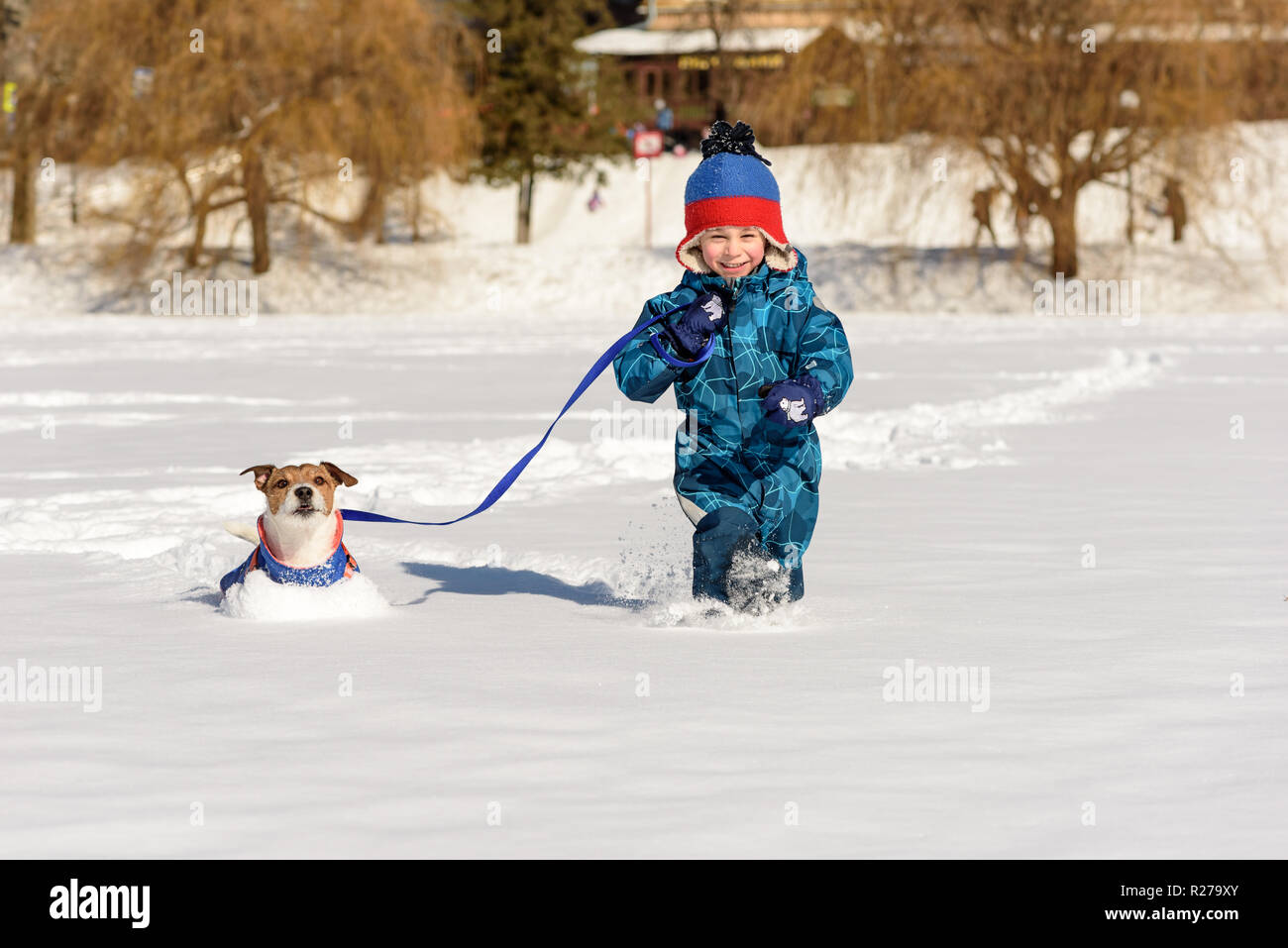 Happy kid with dog on leash playing on intact fresh snow at sunny winter day Stock Photo