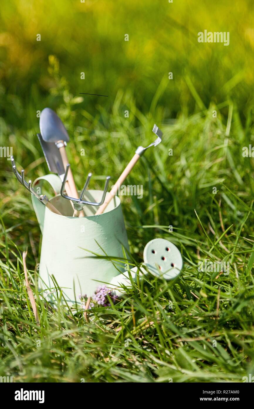 Watering can and garden tools on grass Stock Photo Alamy