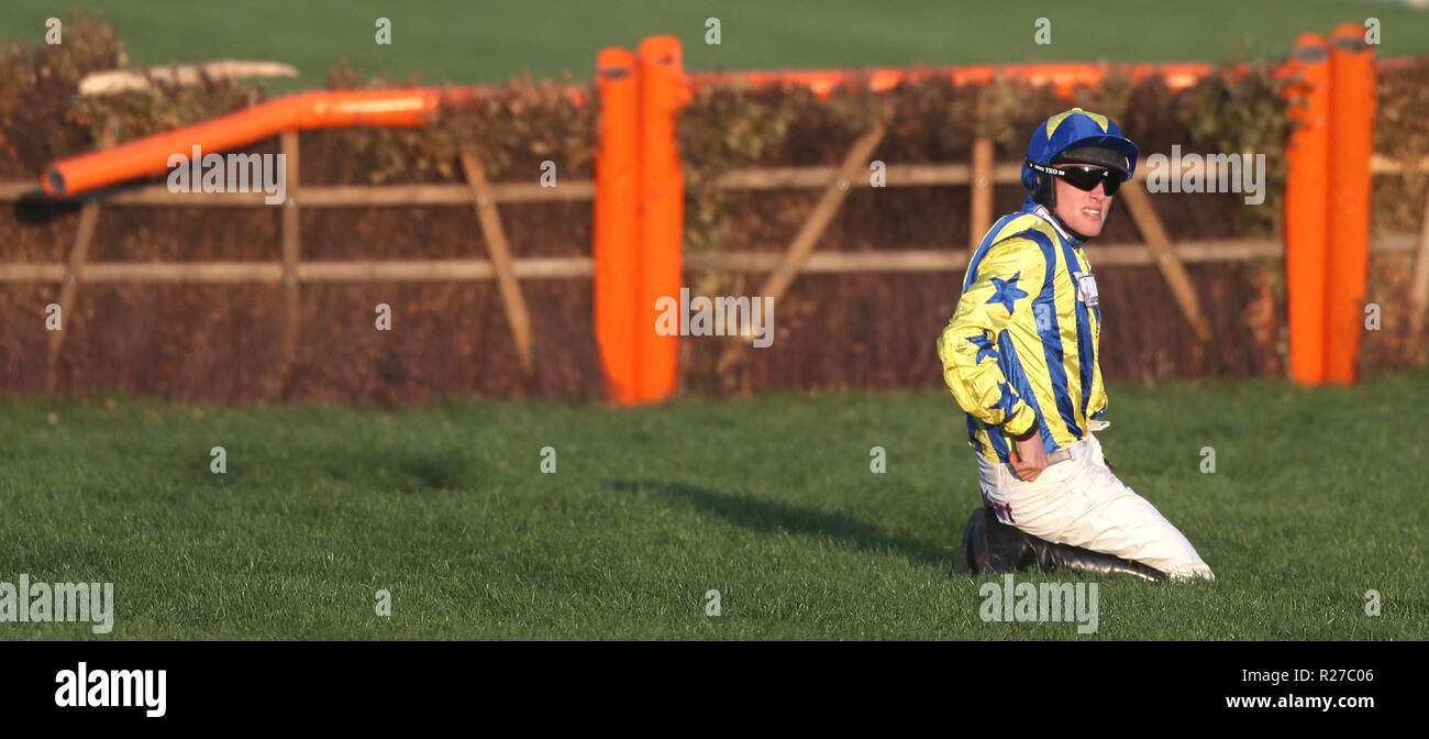Alan Johns is a faller in the Regulatory Finance Solutions Handicap Hurdle during day two of the November Meeting at Cheltenham Racecourse. Stock Photo