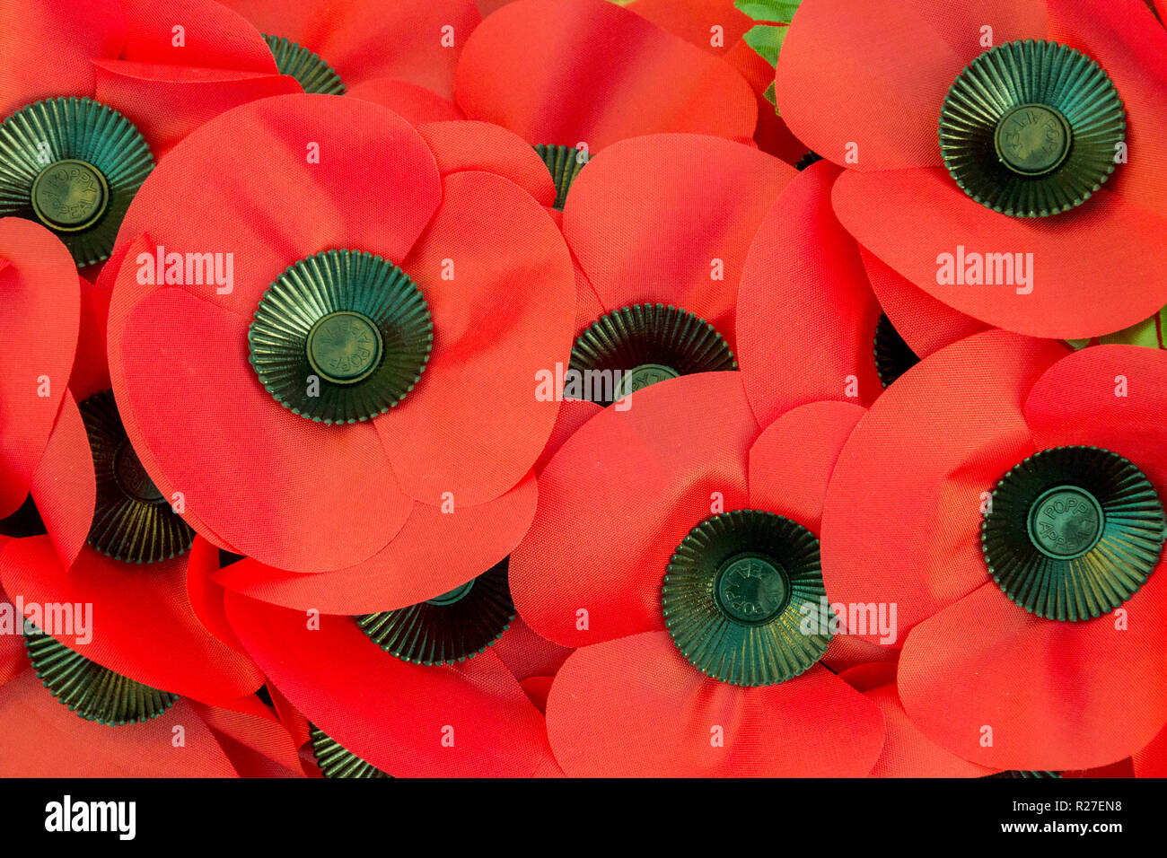 Royal British Legion Poppies Stock Photos & Royal British Legion ...