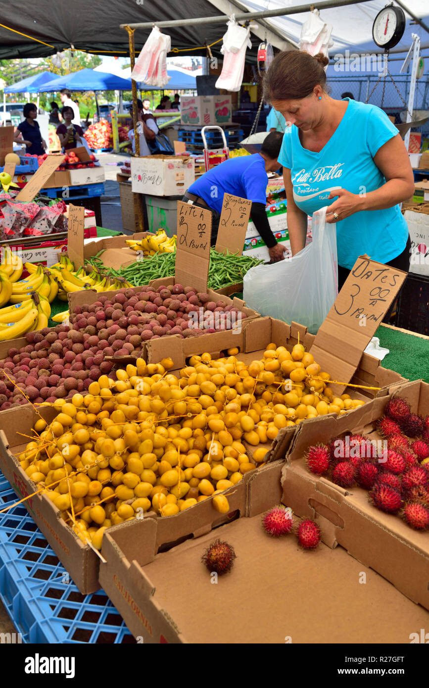 Boston street market with fresh vegetables and fruits, Massachusetts, USA Stock Photo